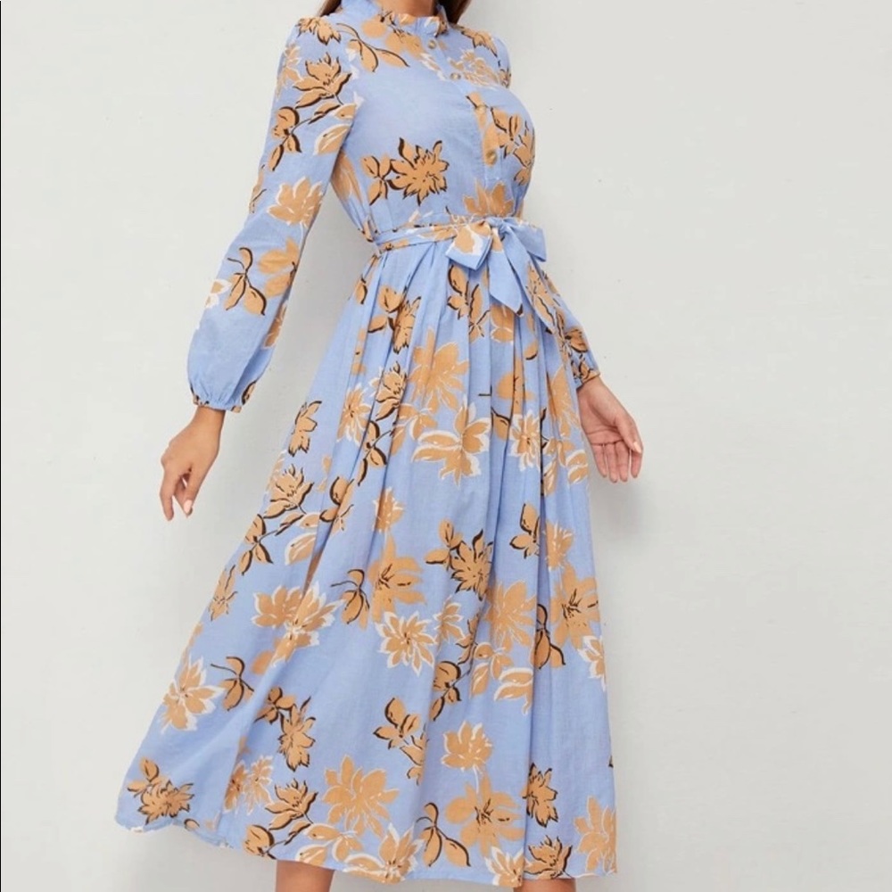 Ladies dress